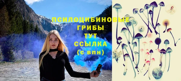 PSILOCYBIN Абдулино