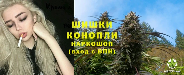 PSILOCYBIN Абдулино