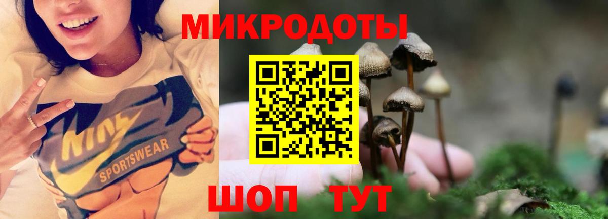 Псилоцибиновые грибы Cubensis Ефремов
